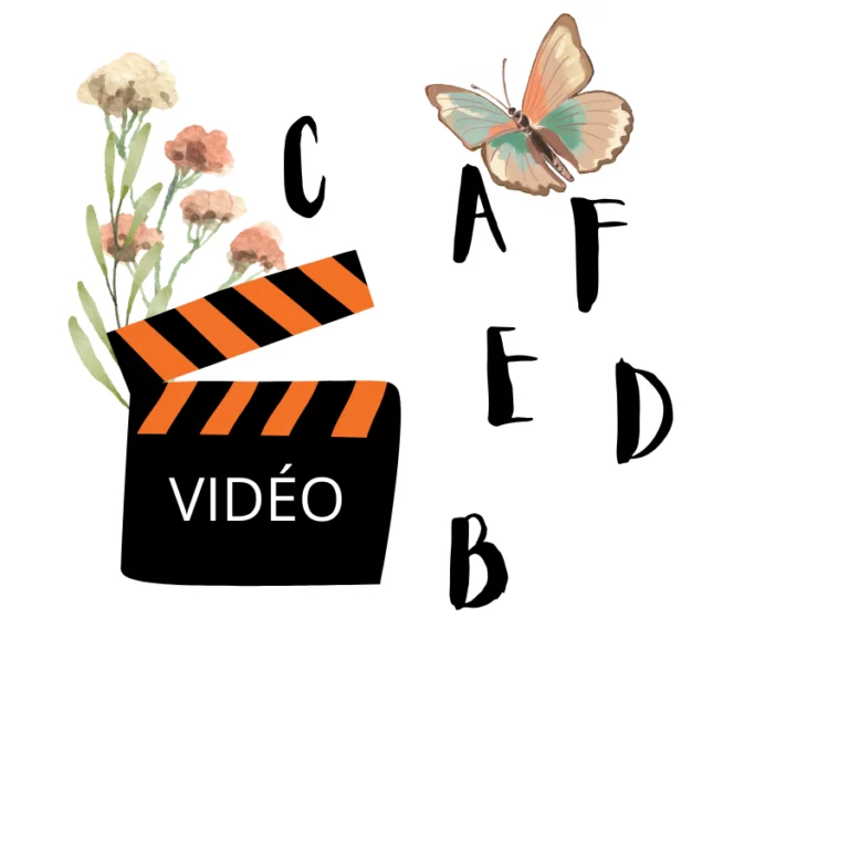 transcription video vhredactionweb occitanie
